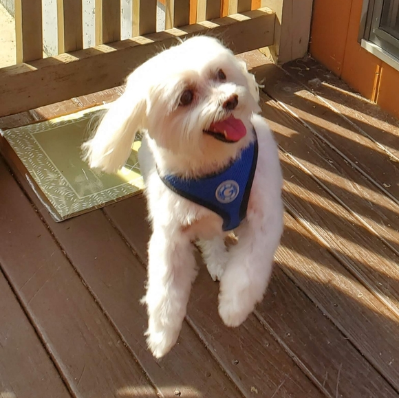 Meet your Posher, Jaime - Picture 5 of 16